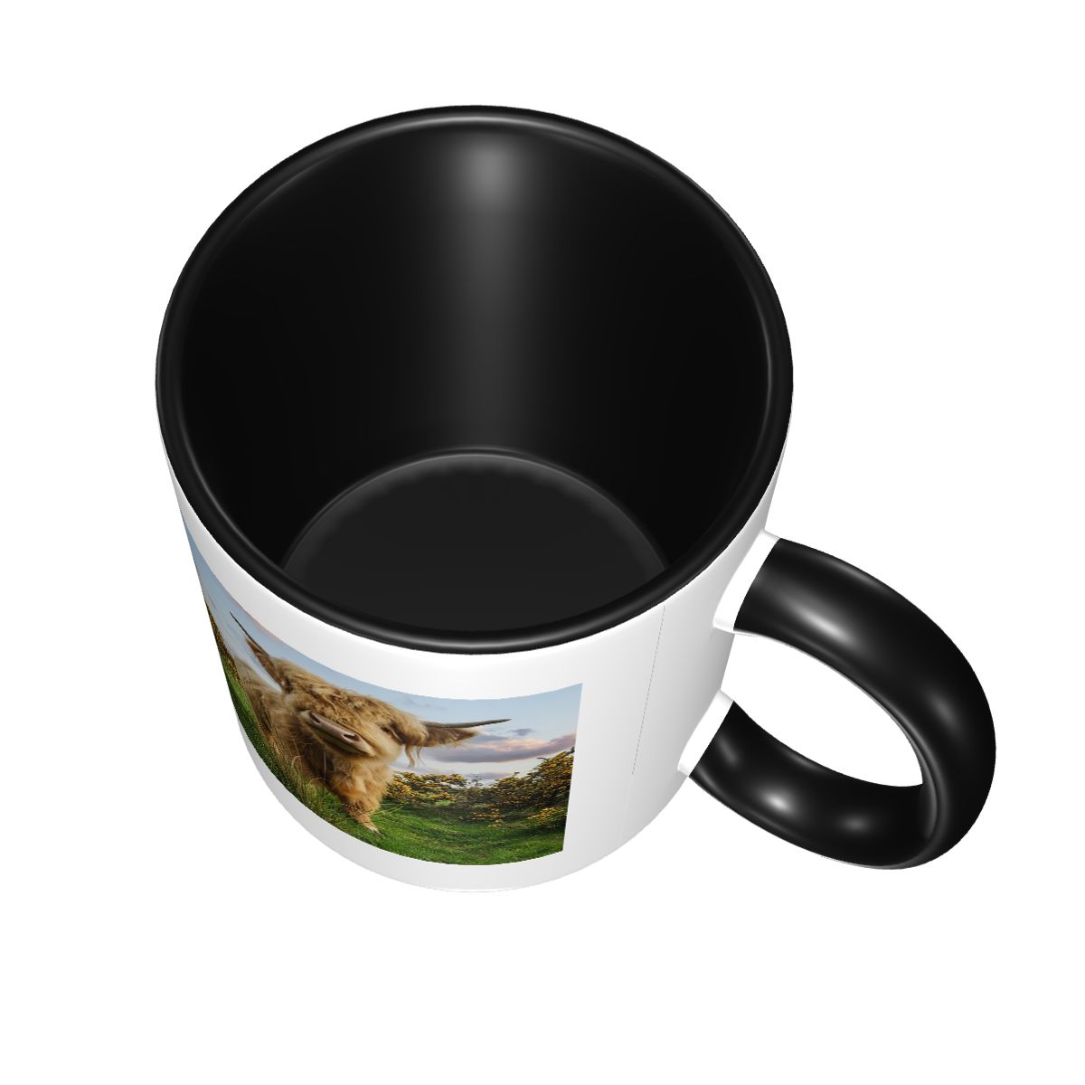 Tasse mit Jungem Hochlandrind  – Young Tea Coffee Bewertung und Preis