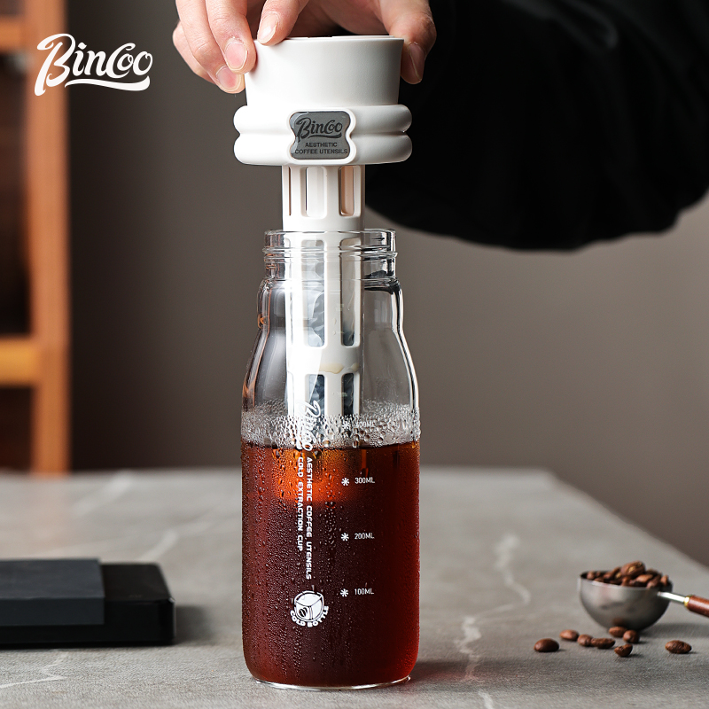 Bincoo 600ML Sommer Kalt Braue – Cold Brew Bottle Bewertung und Preis