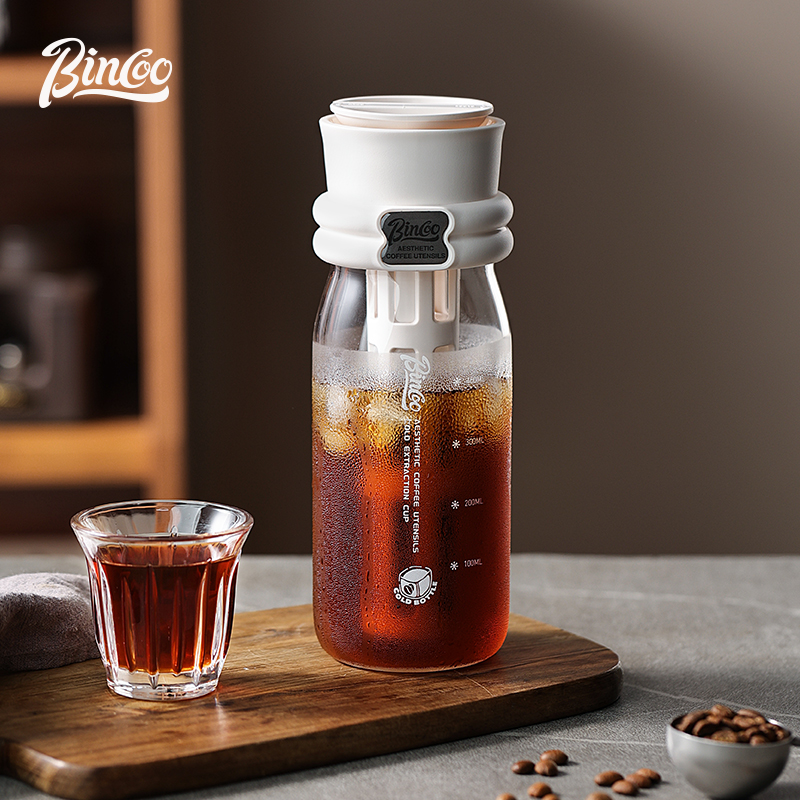 Bincoo 600ML Sommer Kalt Braue – Cold Brew Bottle Bewertung und Preis
